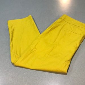 Loft crop ankle cut size 10 pants!